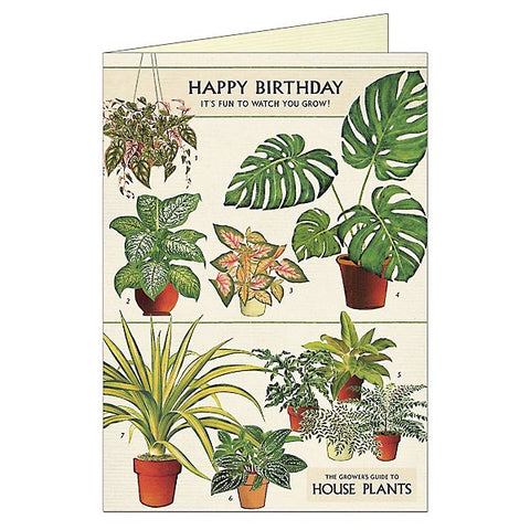Cavallini Greeting Cards - Happy Birthday House Plants