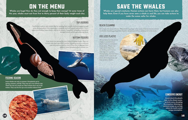 Inside Out Whale: Discover the World's Biggest, Smartest Swimmers (Inside Out, Chartwell)