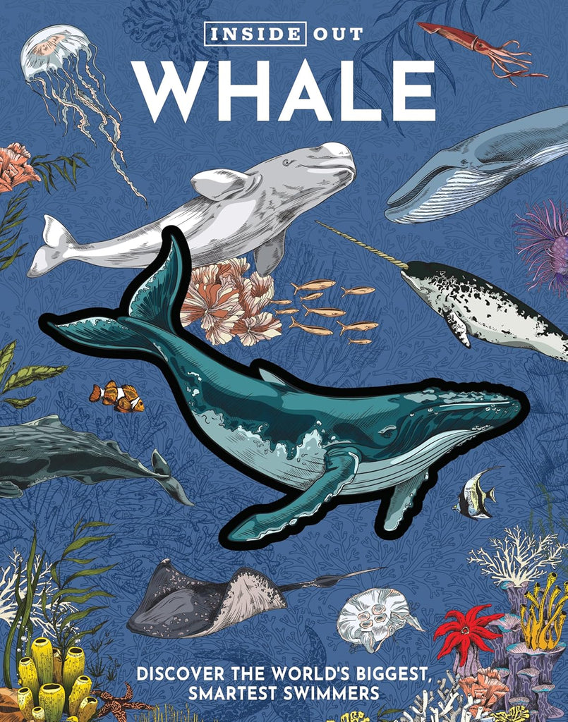 Inside Out Whale: Discover the World's Biggest, Smartest Swimmers (Inside Out, Chartwell)