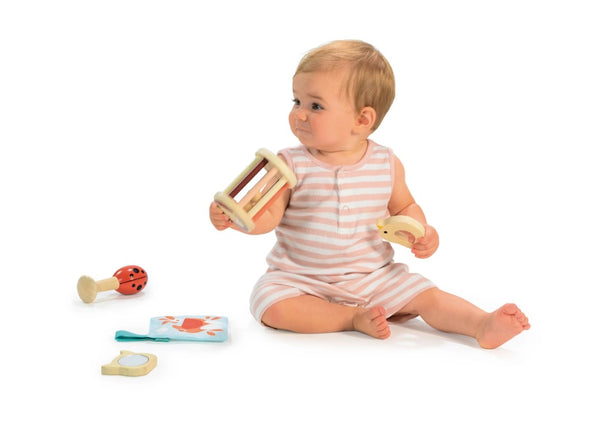 Mentari Toys 6 Months Garden Playtime Set