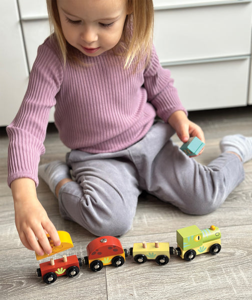 Mentari Toys The Dinosaur Train