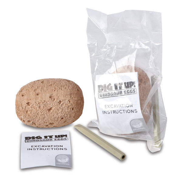 Dig It Up! Dinosaur Eggs