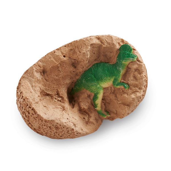 Dig It Up! Dinosaur Eggs