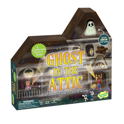Ghost in the Attic Cooperative Game