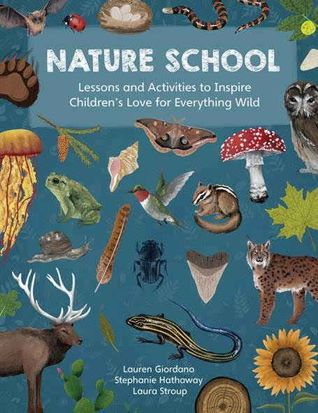 NATURE SCHOOL