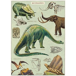 Cavallini Decorative Posters - Dinosaur