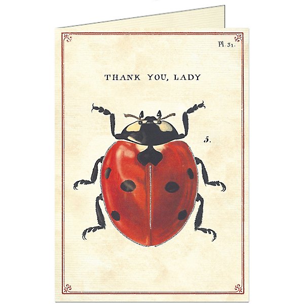 Cavallini Greeting Cards - Thank You Lady