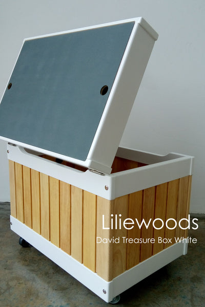 Liliewoods David Treasure Box