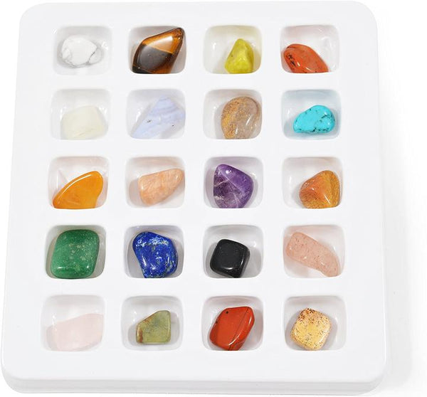 British Fossils : Gemstone Selection Box