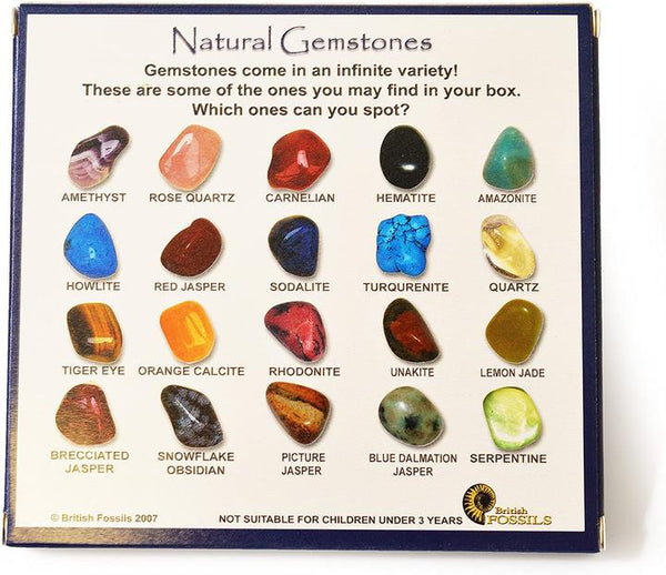 British Fossils : Gemstone Selection Box