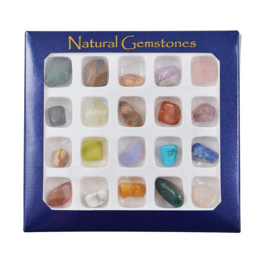 British Fossils : Gemstone Selection Box