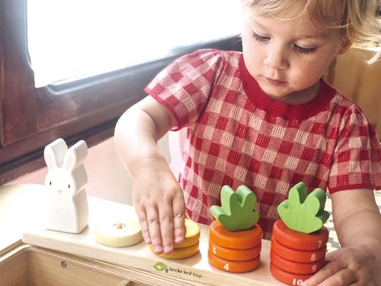 Tender Leaf Toys Counting Carrots