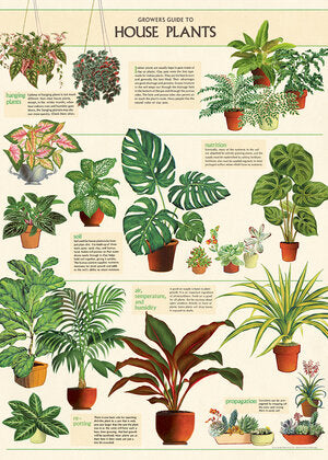 Cavallini Decorative Poster - House Plants