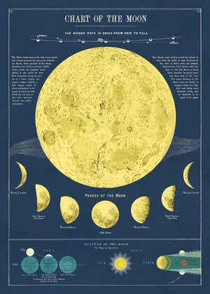 Cavallini Decorative Posters - Moon Chart