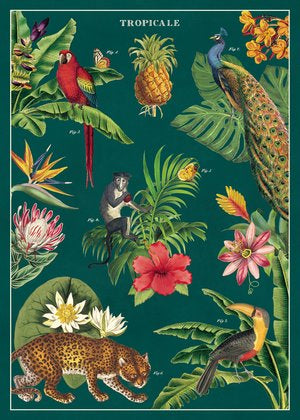 Cavallini Decorative Poster - Tropicale