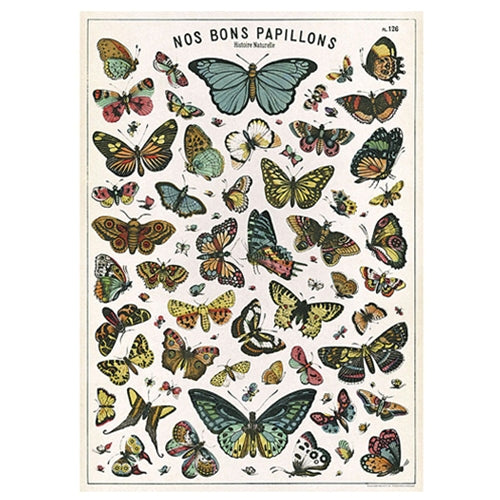 Cavallini Decorative Poster - Butterflies