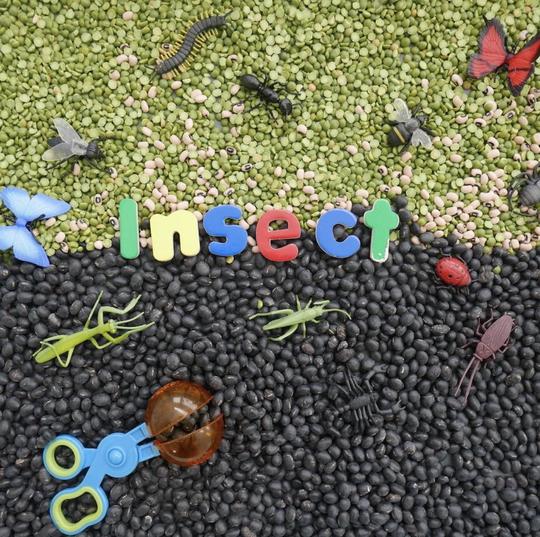Safari Ltd Insects Toob