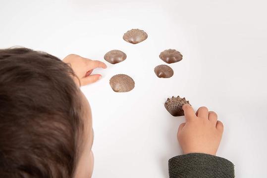 EDX Eco-friendly Tactile Seashells *made from rice husks*