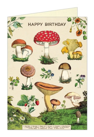 Cavallini Greeting Cards - Happy Birthday Mushrooms
