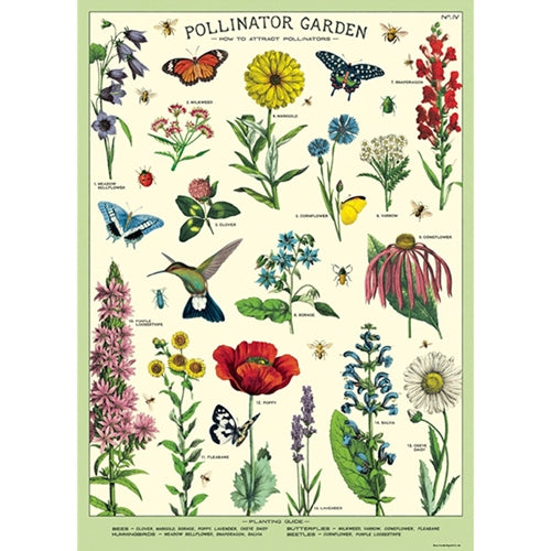Cavallini Decorative Poster - Pollinators