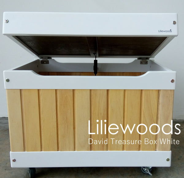 Liliewoods David Treasure Box